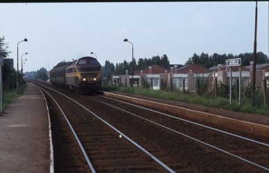 Schelle - TH 78-4323.jpg